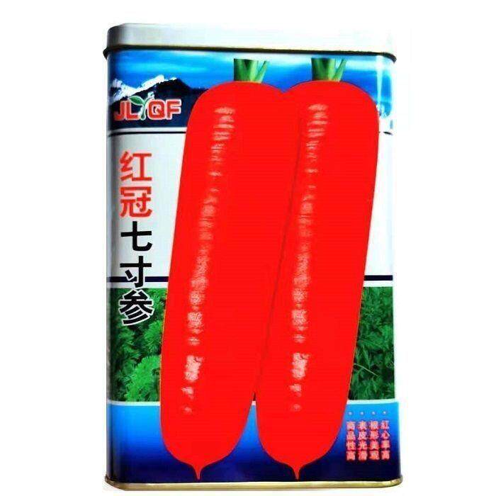 胡萝卜种子红冠七寸参籽