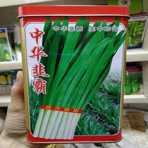 紫根韭菜种子罐装袋装白根韭菜 紫色韭菜籽蔬菜籽阳台盆栽四季播