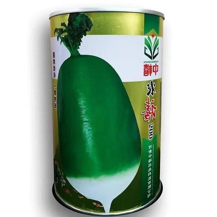 791萝卜种子一斤大田高产