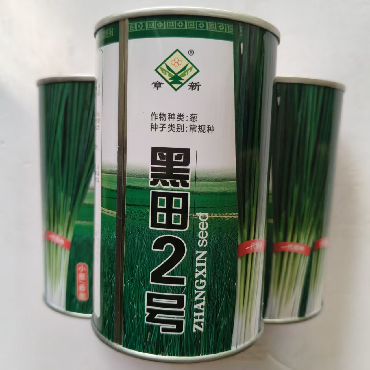 黑秀细叶钢葱香葱种子四季小香葱耐热耐寒春夏秋山东小葱种子籽孑