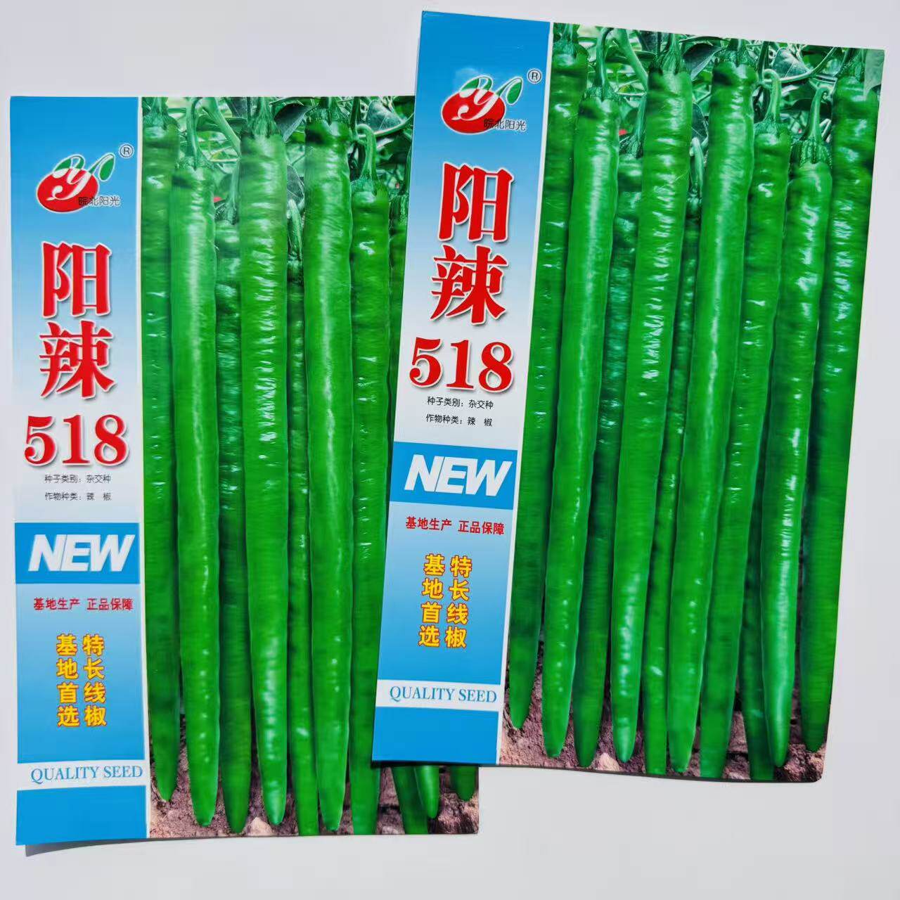 阳辣518线椒种子杂交一代香辣线椒种子特长线椒种籽精选辣椒种子