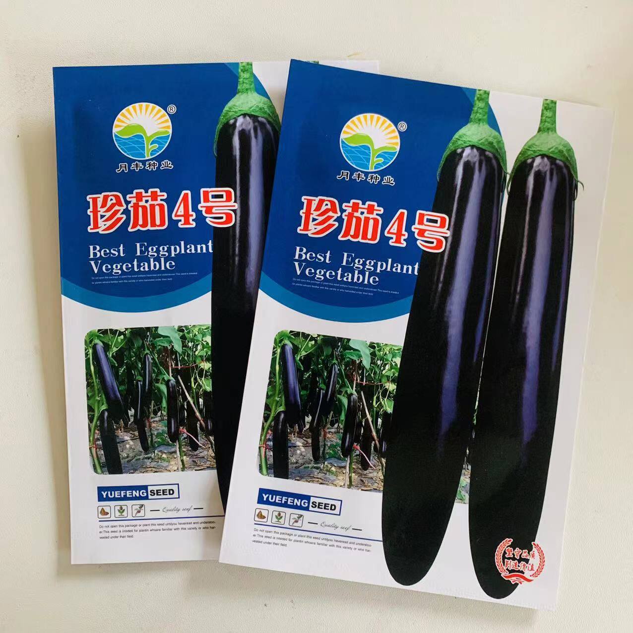 珍茄4号早熟绿把长茄种子绿萼紫黑长茄种籽抗性好抗病高产蔬菜种