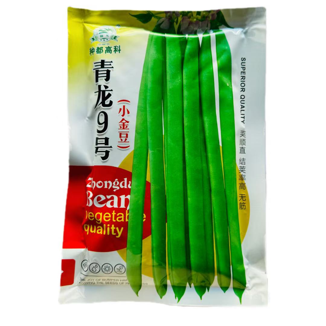 小金豆四季豆豆角种子架豆王早熟高产青龙9号小金豆种子春秋种植
