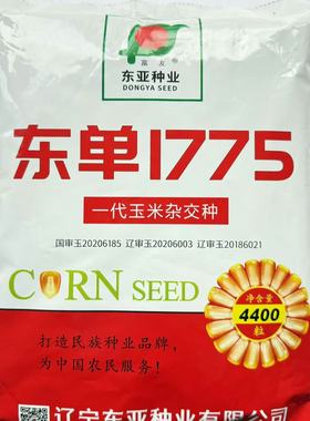 东单1775玉米种子国审原厂正品高产稳产耐高温抗病抗倒优质苞谷种