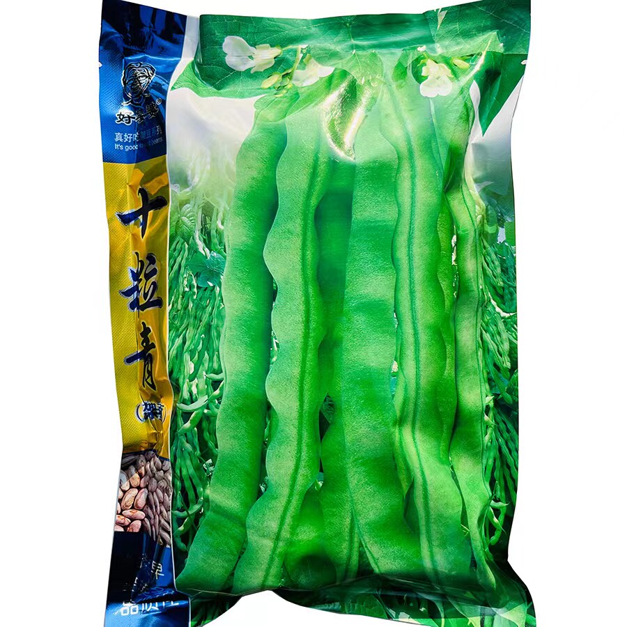 十粒青四季豆种子早熟青棒豆种子肉厚架豆籽春秋季种植四季豆种子