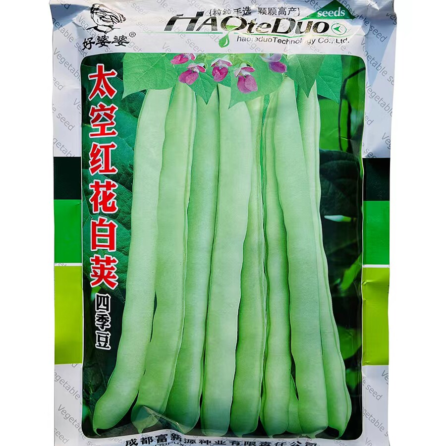 四川 太空红花白荚四季豆种子 优质早熟高产耐热抗病商品性佳春播