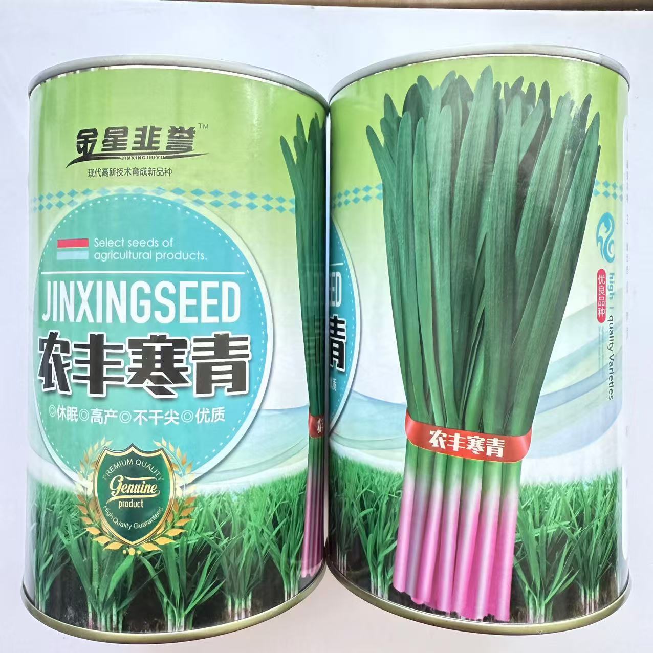 农丰寒青韭菜种子叶色黑绿叶片肥厚粗纤维少根略带紫红韭菜种子籽