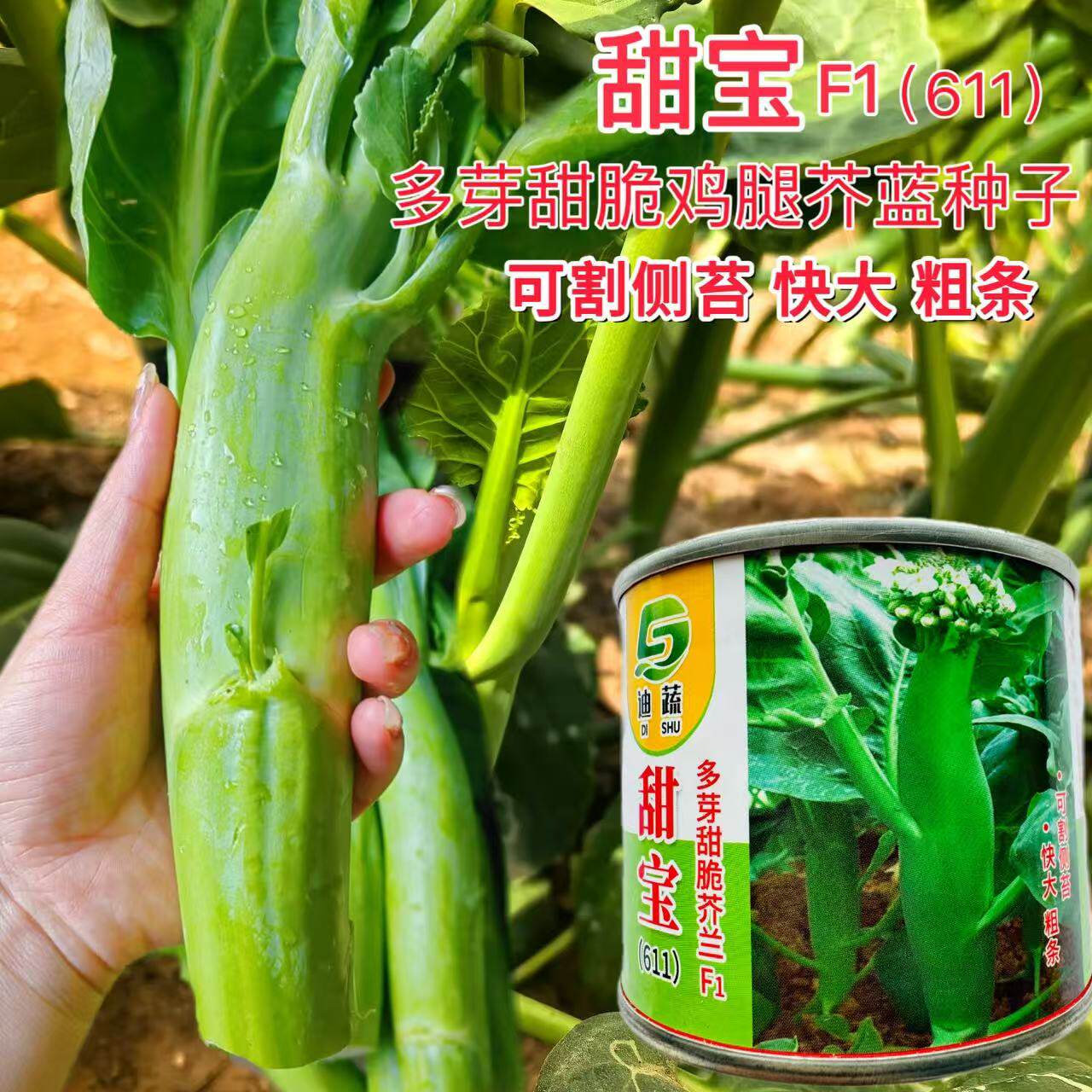 甜宝多芽甜脆中熟鸡腿芥兰种子叶尖形深绿色叶片肥厚主苔粗壮芥兰