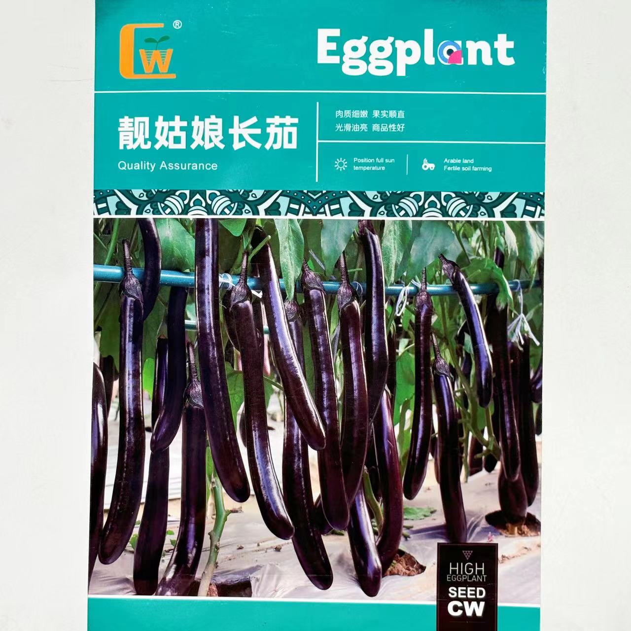 长茄种子新品种靓姑娘长茄油黑长条型茄子种子长棒顺直型春秋四季