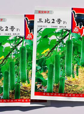 鼎牌三比2号F1丝瓜种子特早熟节节有瓜果皮青绿色果肉乳白