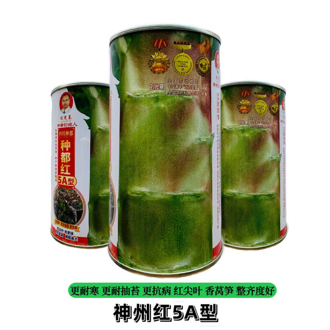 更耐寒 更耐抽苔种都红5A型红尖叶莴笋种子 整齐度高粗棒高大高产