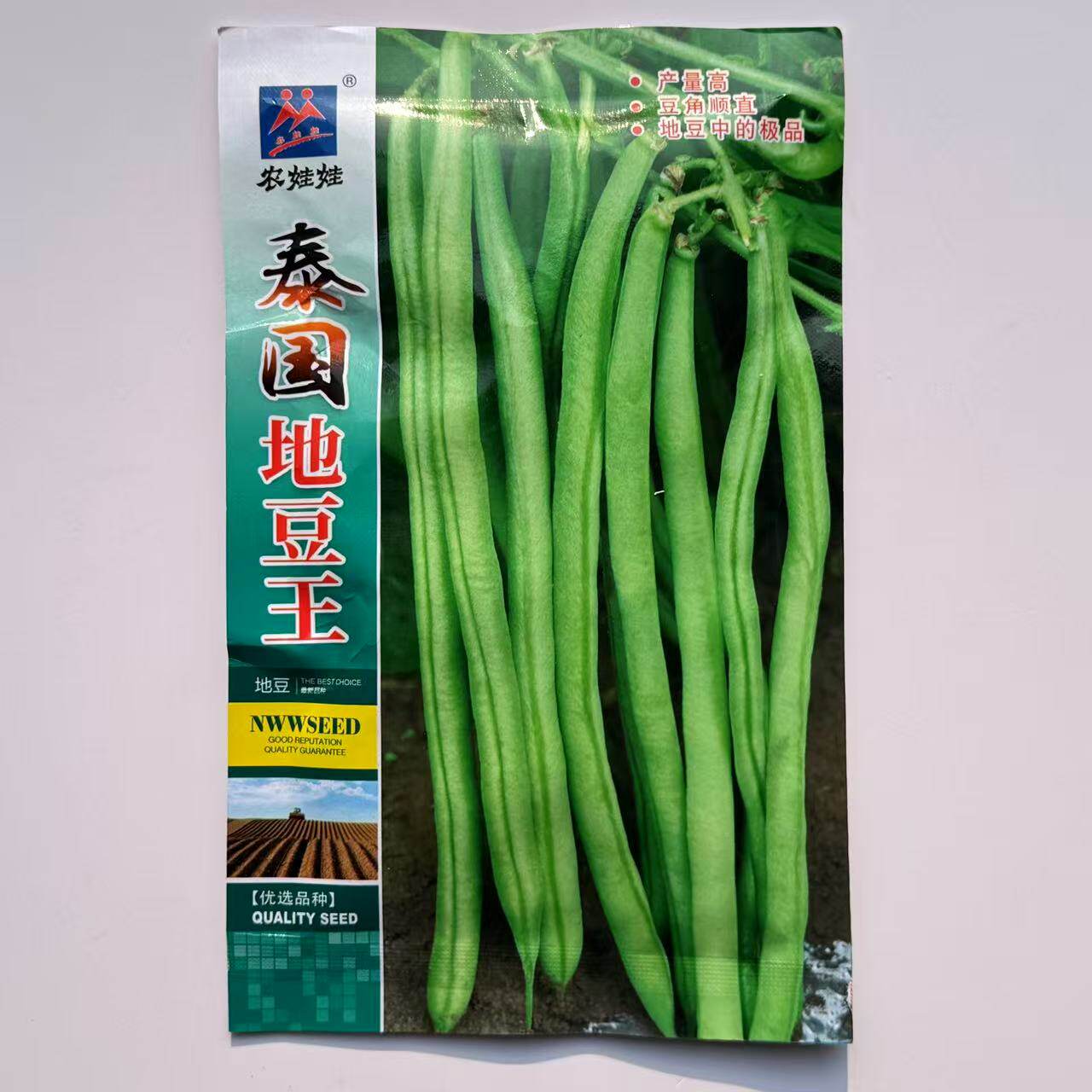 高产泰国地豆王种子芸豆四季无筋架豆菜豆春秋庭院易种豆角蔬菜种