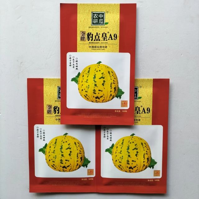 金牌豹点皇A9甜瓜种子抗裂抗旱耐湿甜瓜种籽黄皮豹点甜脆香瓜种子
