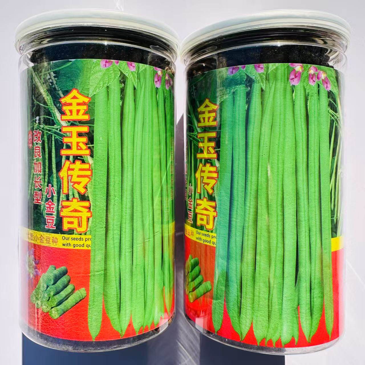 云南小金豆种子改良加长型小金豆种子金玉传奇四季豆小嫩豆种子
