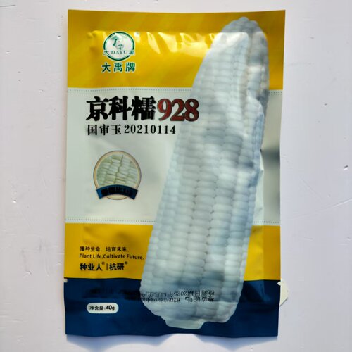国申京科糯928白玉米种子高产抗病杂交一代白糯玉米种籽春秋播种