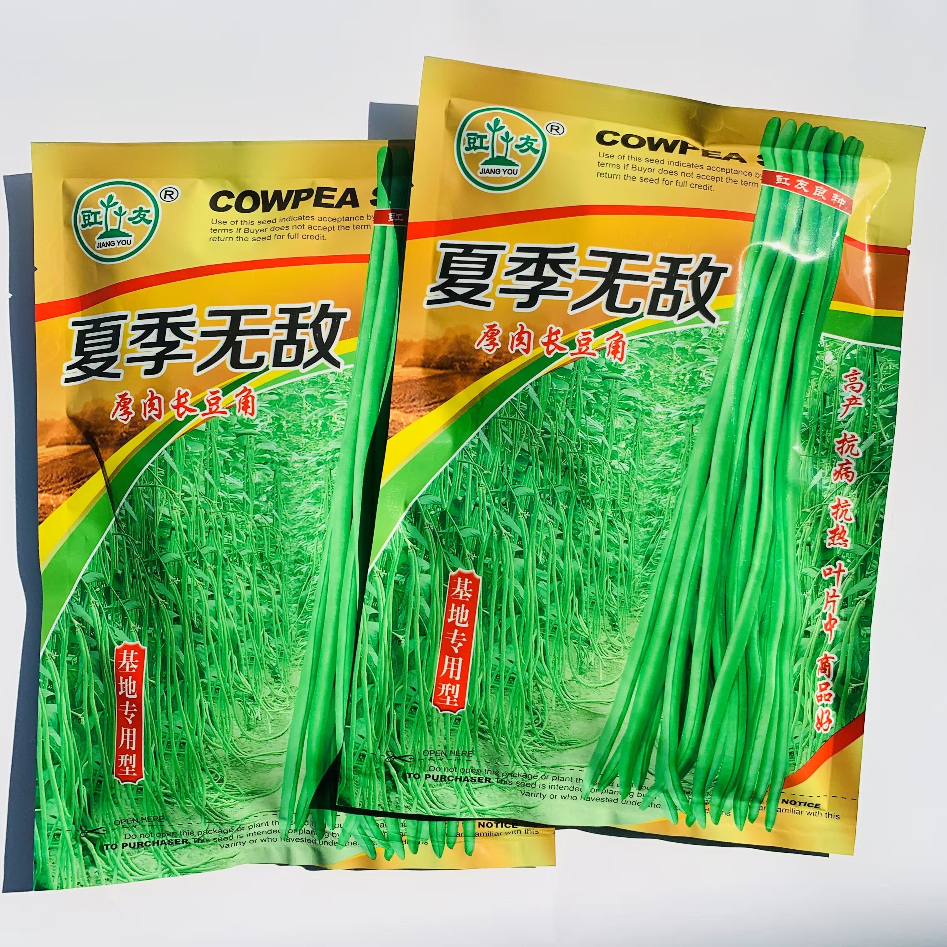 夏季抗热长豆角种子 江西厚肉长豇豆角种籽基地专用豇豆种子高产