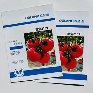德宝2159番茄种子杂交粉红果无限生长型大果抗病硬度高西红柿种籽