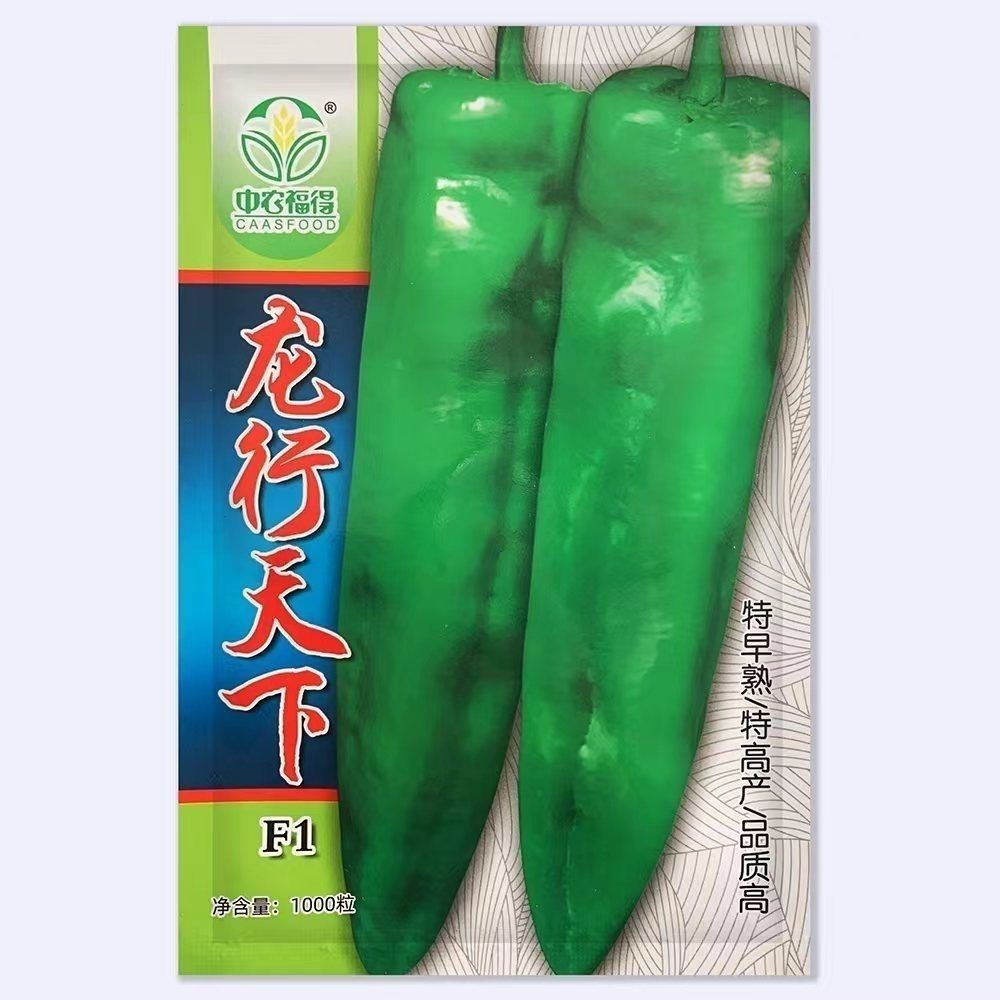 龙行天下辣椒种子早熟粗大牛角椒种籽高产抗病大果型中辣大田种孑
