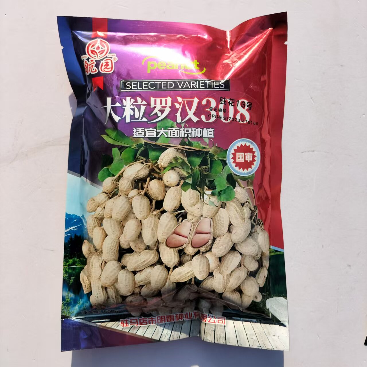 大粒罗汉308花生种子高油纯手工去壳净籽白沙罗汉果驻花13号花生