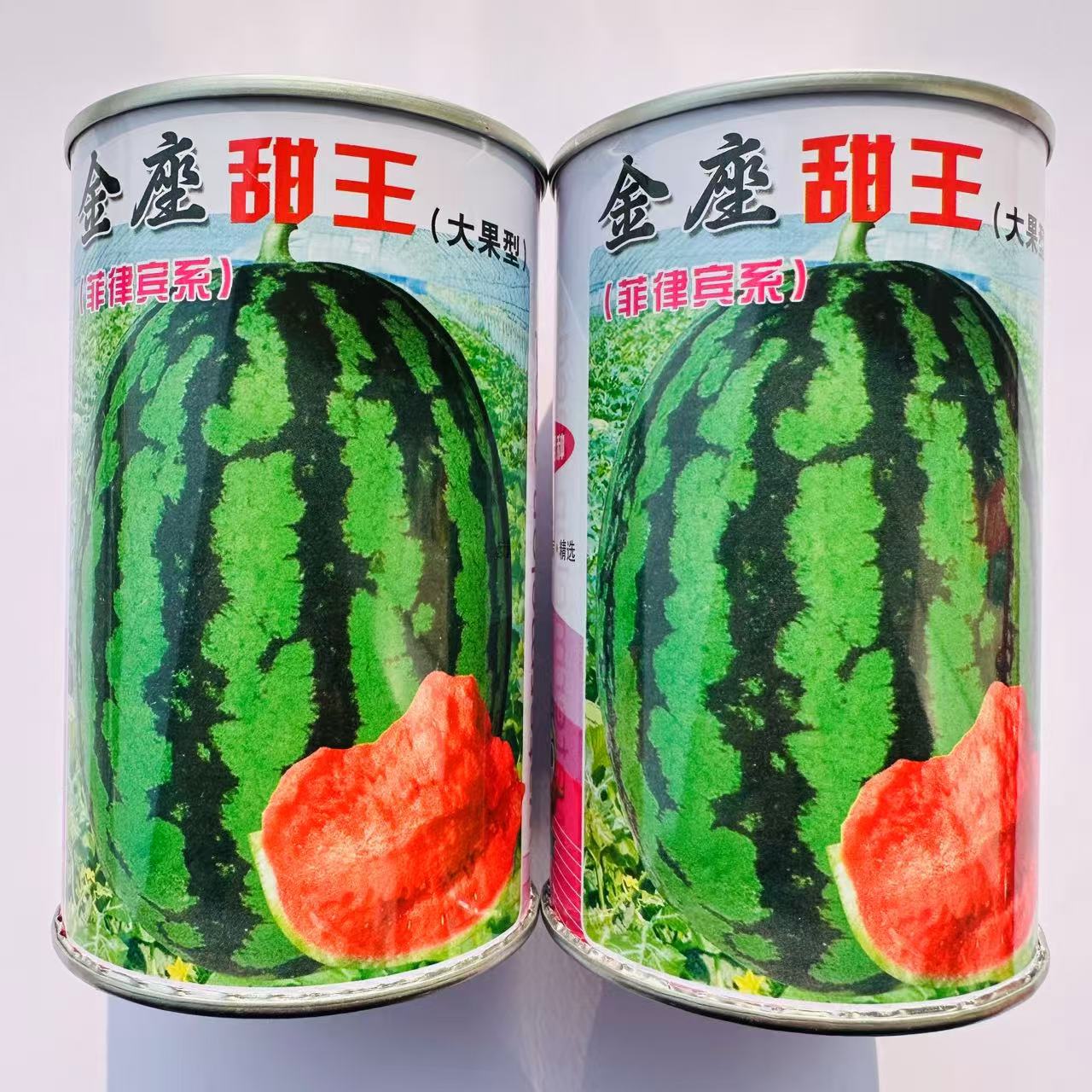 菲律宾系金座甜王西瓜种子甜爽大果短椭圆形特大西瓜种籽耐裂丰产