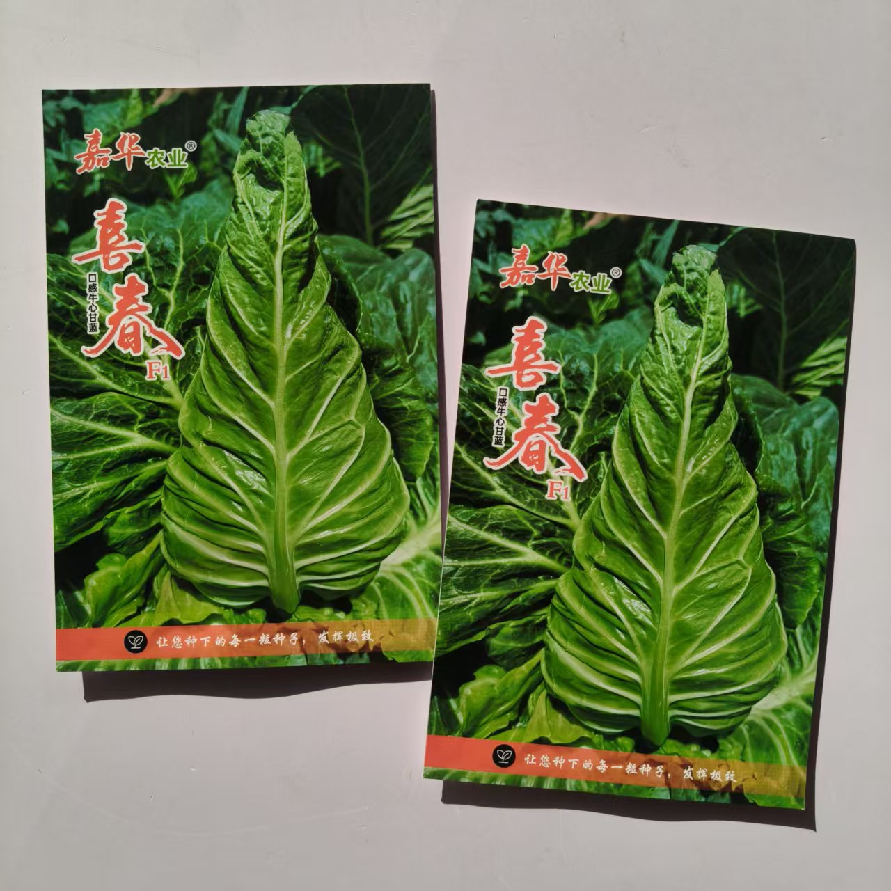 喜春瘦尖型牛心甘蓝种子耐热耐寒抗病高产春夏秋播种蔬菜种籽