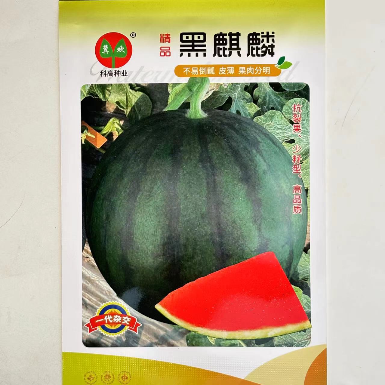 精品黑麒麟大西瓜种子薄皮高糖大果高产抗病商品性佳 春季夏播种