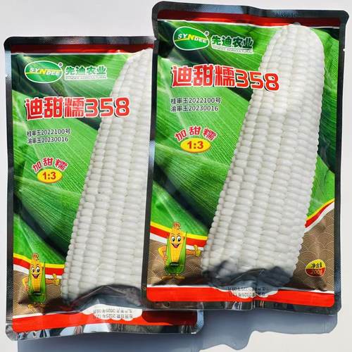 先迪农业迪甜糯358甜加糯玉米种子早熟矮杆鲜食白色甜糯玉米种籽