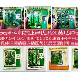 天津津优黄瓜种子大全种子津优1号4号5号黄瓜种子春夏秋露地大棚