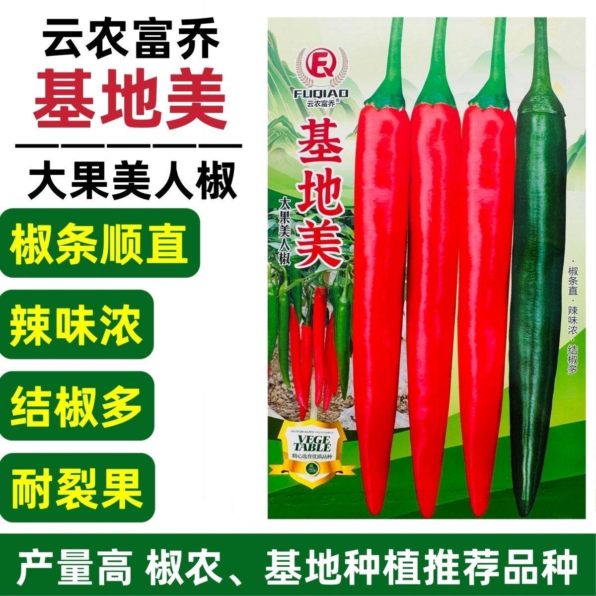 新品种基地美大果美人椒种子红尖椒种子耐裂海花红辣椒种子产量高