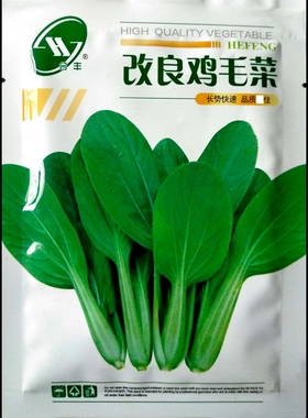 鸡毛菜种子青梗菜深绿色叶柄浅绿四季播种阳台庭院蔬菜种子包邮