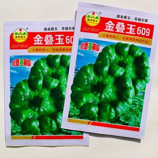 金叠玉609姜柄瓜种子香甜味南瓜种孑高产春季四季耐四季蔬菜种子