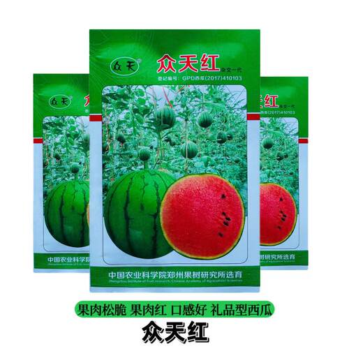 众天红早熟礼品西瓜薄皮松脆甜糖度高皮薄汁多糖度高手剥小糖丸