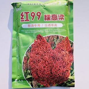 红99糯高粱种子酿酒专用高粱品种杂交抗病抗倒伏佳糯88糯高梁种子