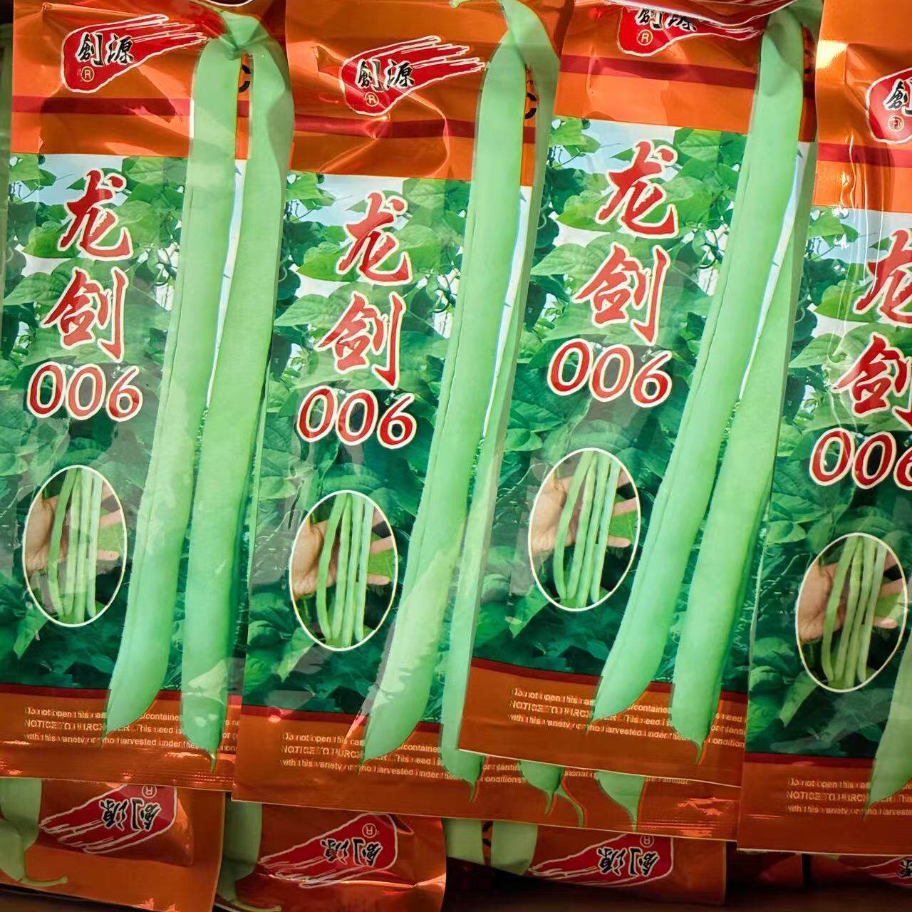 龙剑006早熟圆形长架豆种子荚型顺直纤维少不老化长26-30cm架豆种图片
