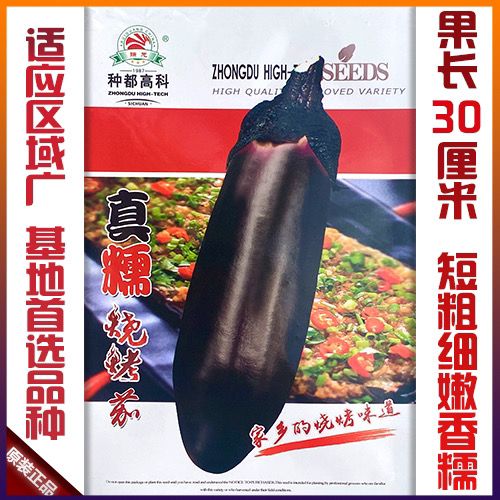 种都真糯烧烤茄子种子短棒黑茄子蔬菜种子高产口感好黑短粗茄种子