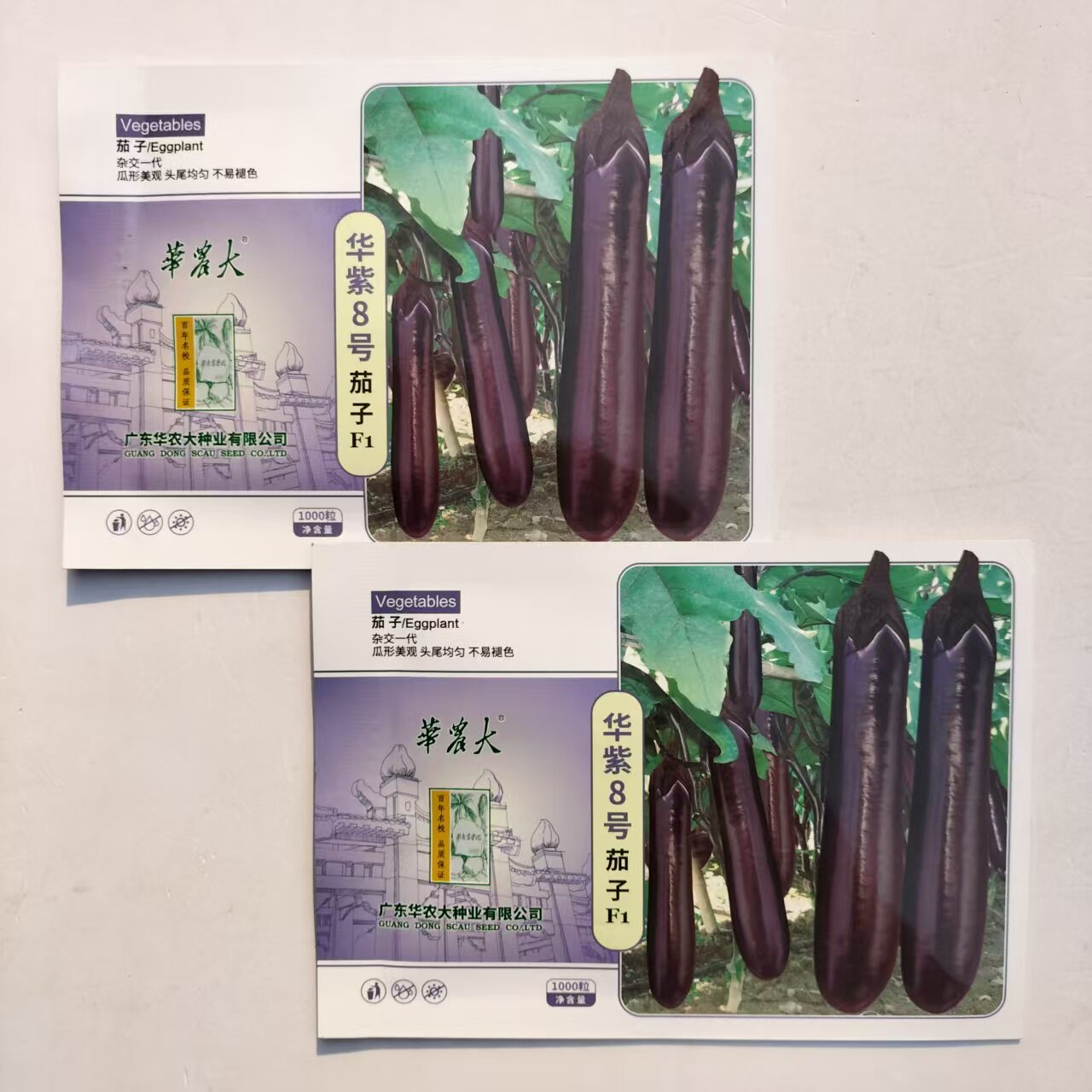 华紫6号 华紫8号茄子种子中熟抗病耐热高产油亮紫红烧烤茄子种孑