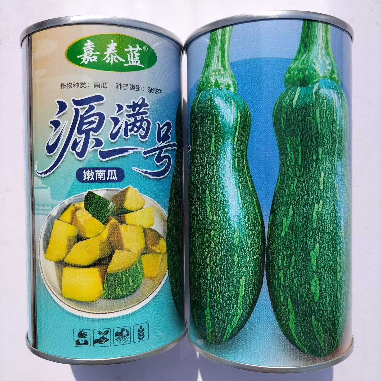 源满一号南瓜种子杂交嫩南瓜种子有花斑墨绿发亮嫩瓜种子罐装50克
