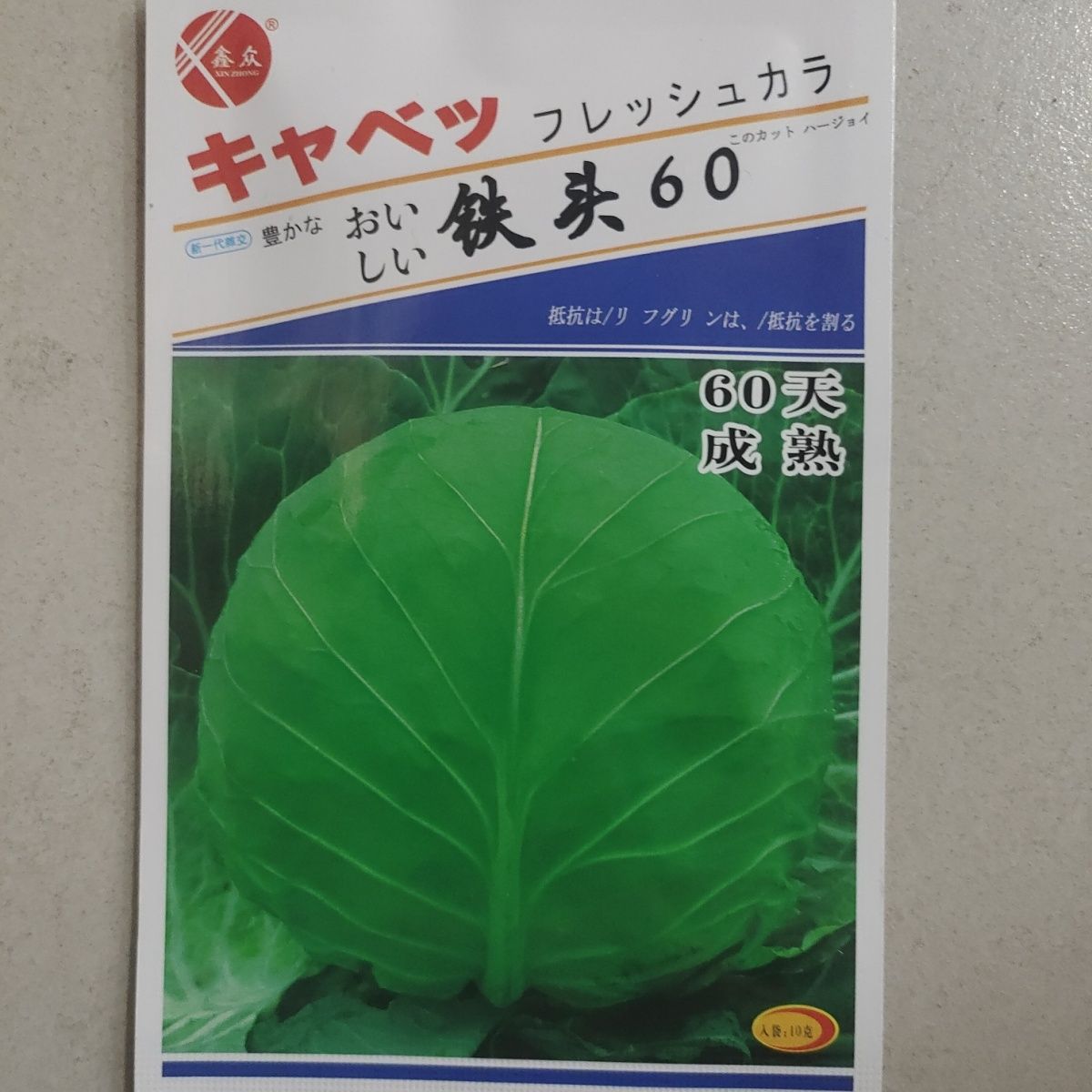 铁头60甘蓝种子卷心菜种包心菜种大籽头菜籽圆白菜种子莲花白种孑