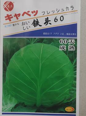 铁头60甘蓝种子卷心菜种包心菜种大籽头菜籽圆白菜种子莲花白种孑