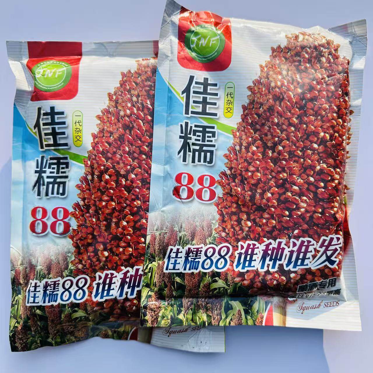 红糯粘高粱种子优糯8号杂交高粱种子红高粱种子 矮生抗旱高产酿酒