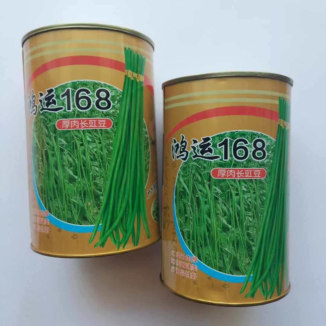 江西 鸿运168 豇豆种子 翠绿厚肉长荚高产抗病商品性佳 春秋播种