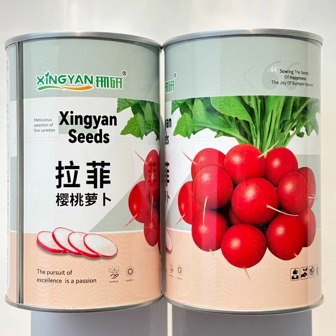 早熟易种樱桃萝卜种子迷你萝卜四季阳台种植蔬菜种子樱桃萝卜种籽