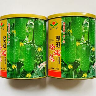 翠冠玲珑绿水果黄瓜种子早熟短棒翠绿水果黄瓜高产甜脆小黄瓜种子