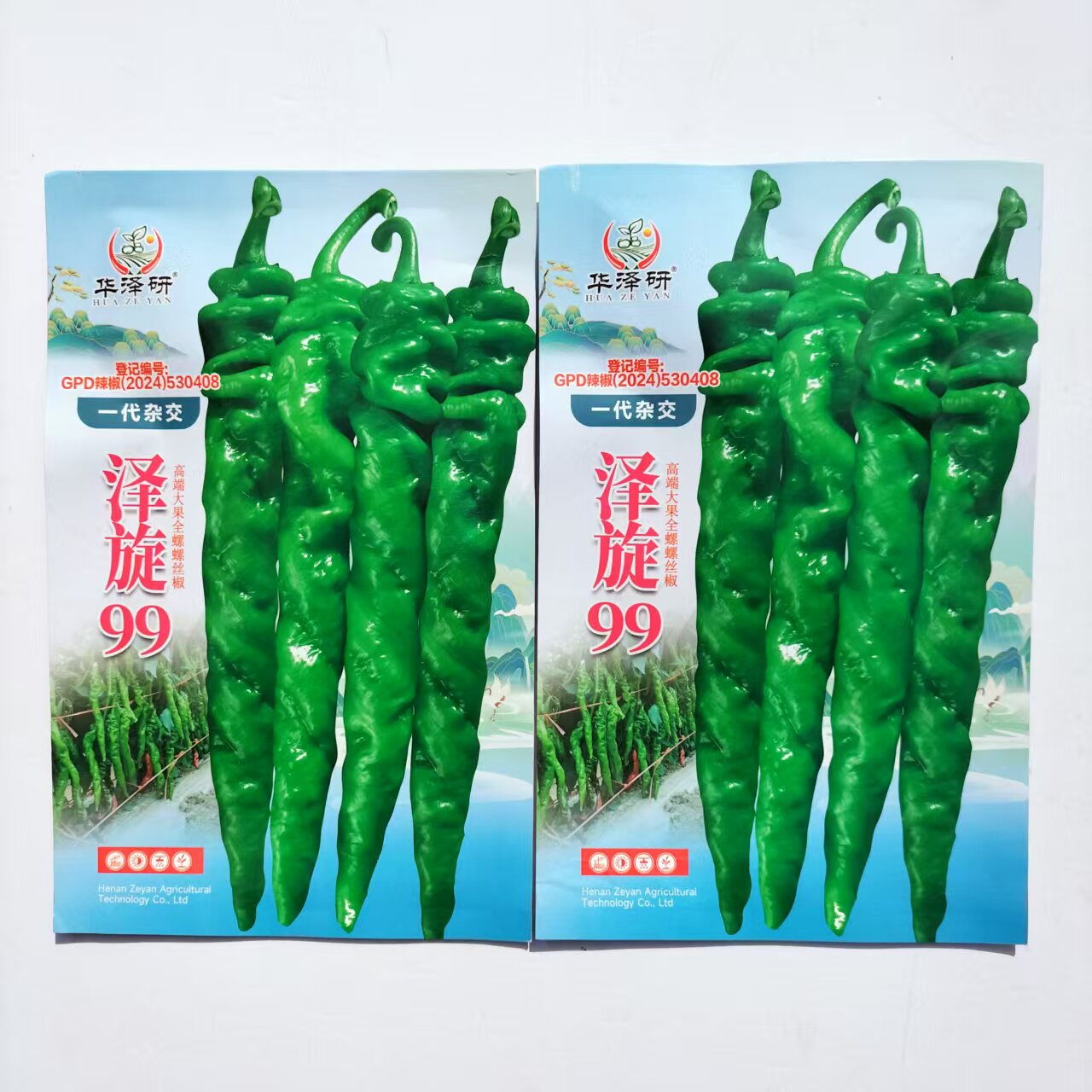 泽旋99全螺麻面螺丝椒种子特大薄皮肉厚长顺直陇椒螺丝辣椒种子籽