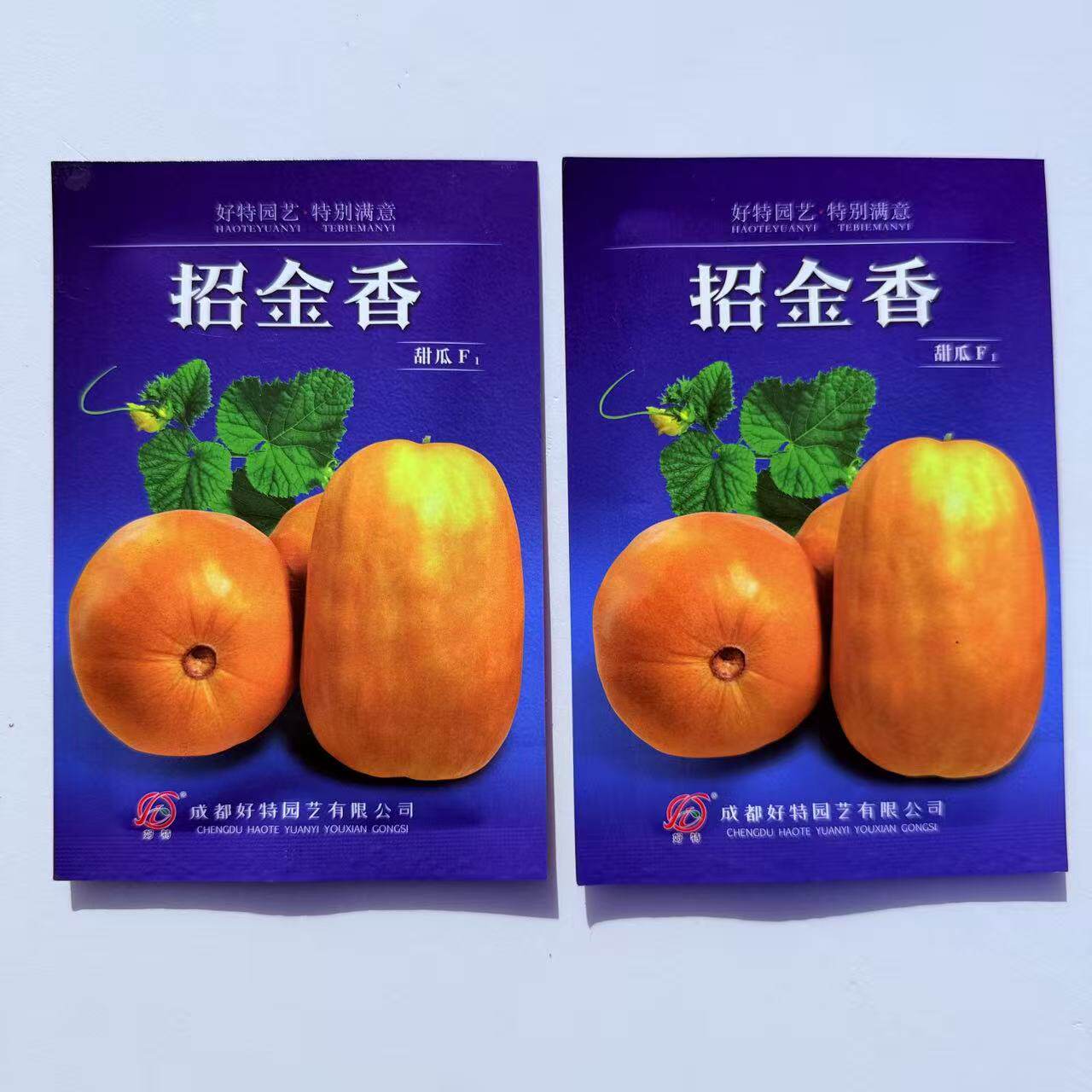 好特招金香甜瓜种子极早熟黄皮肉黄白色香瓜口感松脆甜耐湿热抗病