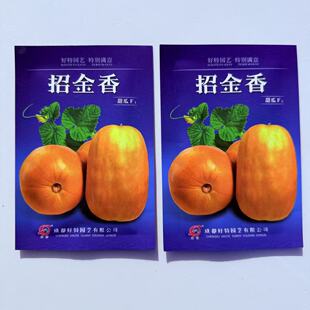 好特招金香甜瓜种子极早熟黄皮肉黄白色香瓜口感松脆甜耐湿热抗病
