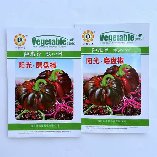 阳光磨盘椒种子黑红辣椒种子果皮深红果肉厚味辣抗病高产春秋蔬菜