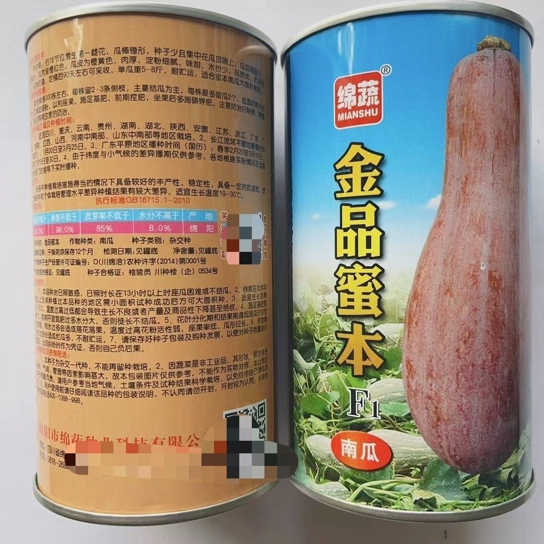 绵蔬金品蜜本杂交南瓜种子高产粉面甜糯密本秘本南瓜籽春秋季大田