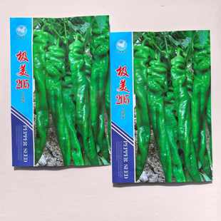 万亩良田极美205螺丝椒种子早熟皮薄辣味浓口感好抗病强春秋种植