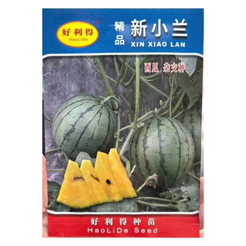 新小兰西瓜种子早熟黄壤肉小西瓜种籽孑高产早熟南方四季花皮黄瓤